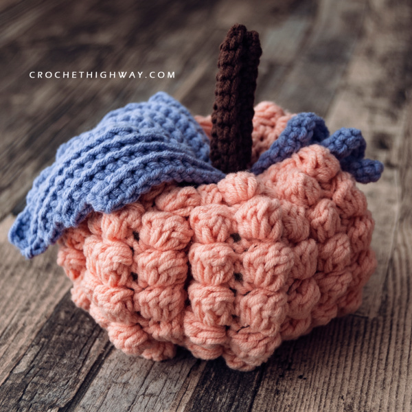 crochet day14 CrochetHighway 916