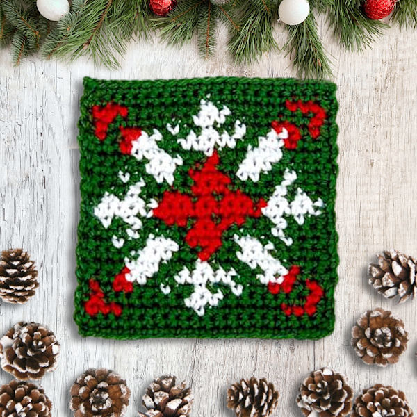 crochet snowflake tapestery square