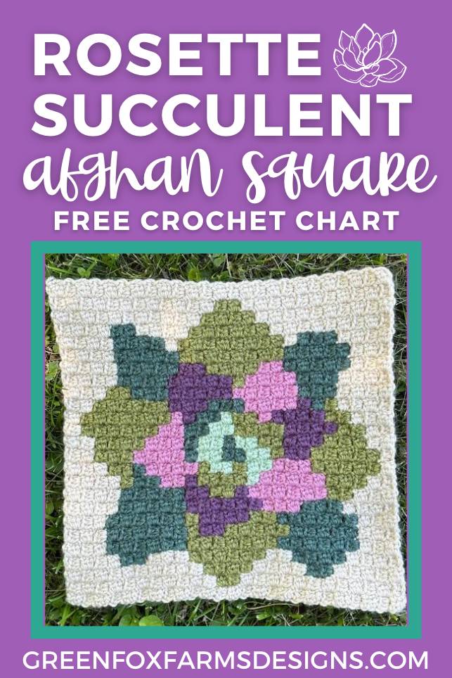 crochet Rosette succulent square PIN 7