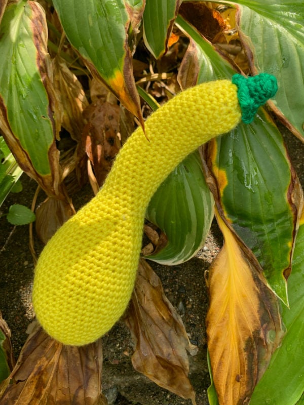 crochet crookneck pattern test lisa