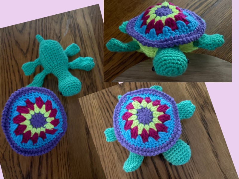 crochet B calli turtle test sara