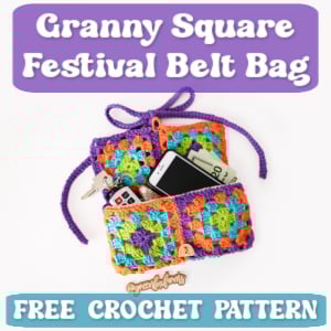 crochet granny festival pouch TN