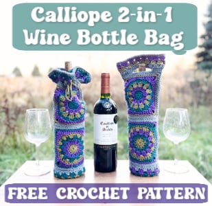 crochet calliope wine baG TN