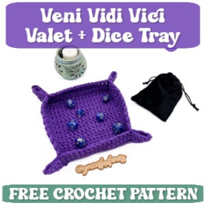 crochet dice valet tray TN
