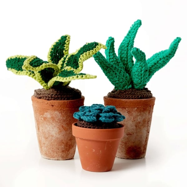 Cute Crochet Succulents by Yarnspirations