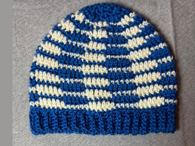crochet 1 waypoint beanie test anna
