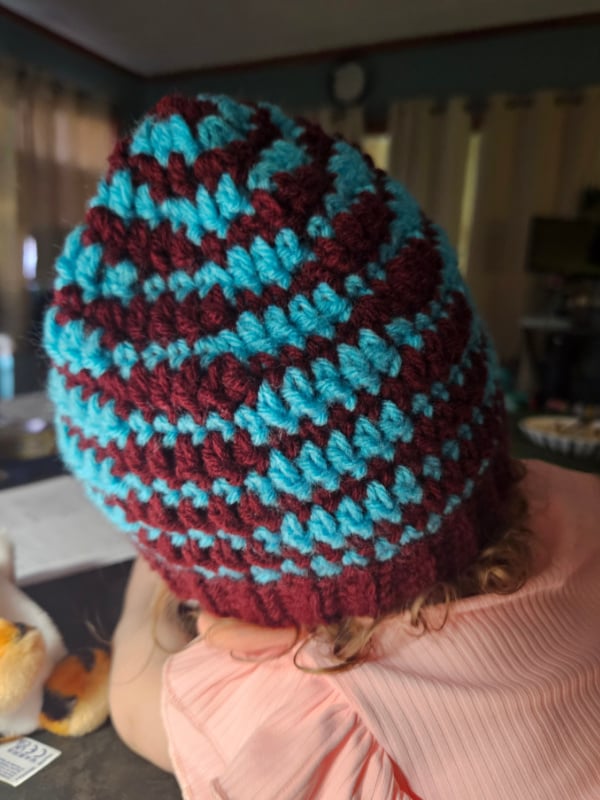 crochet 1 waypoint beanie test rachel