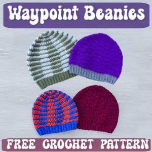 crochet waypoint beanies TN